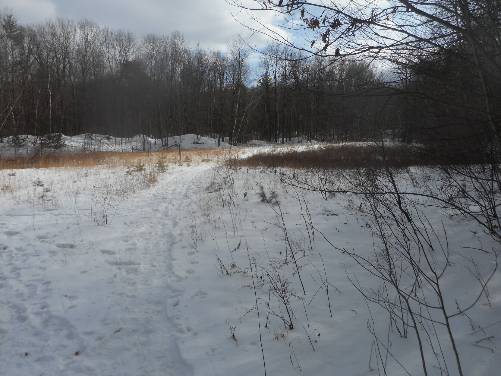 Mount Meadow field